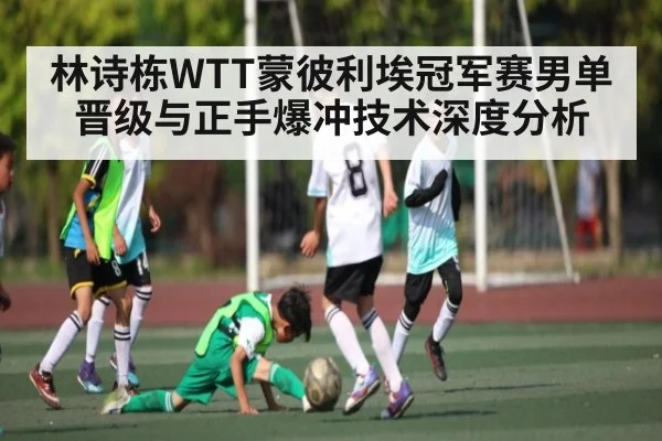 林诗栋WTT蒙彼利埃冠军赛男单晋级与正手爆冲技术深度分析